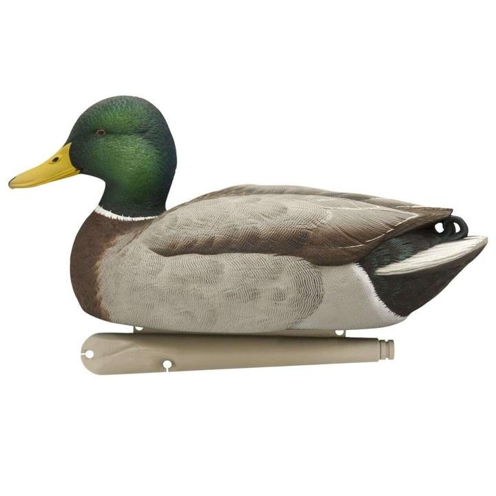 Avian-X Topflight Gadwall Decoys, 6-Pack – Kitkco