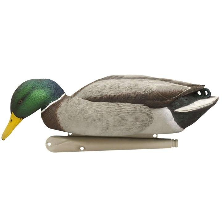 Avian-X Topflight Gadwall Decoys, 6-Pack – Kitkco